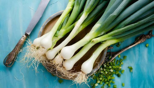 Vegetable, spring onion or spring onion, also known as winter onion, Allium fistulosum