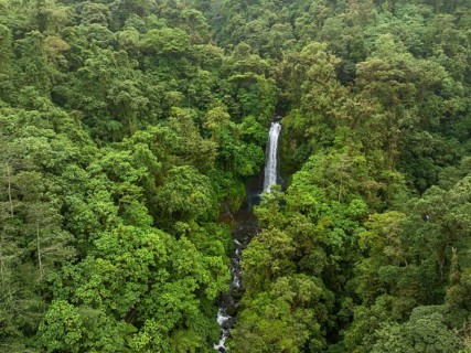 Aerial view, waterfall in the rainforest, Catarata de la Paz, La Paz Waterfall Gardens Nature Park,