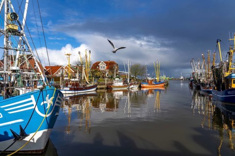 Cutter harbour Neuharlingersiel, shrimp cutter, East Frisia, Lower Saxony, Germany, Europe