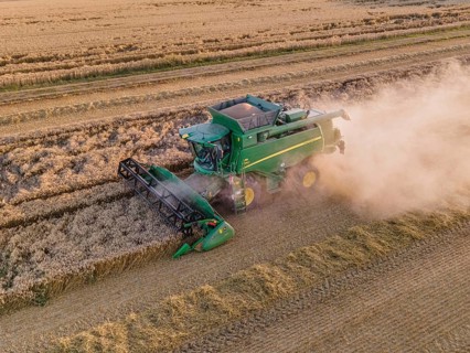 A combine harvester harvests a grain field near Frankfurt am Main. (Aerial photo with a drone),