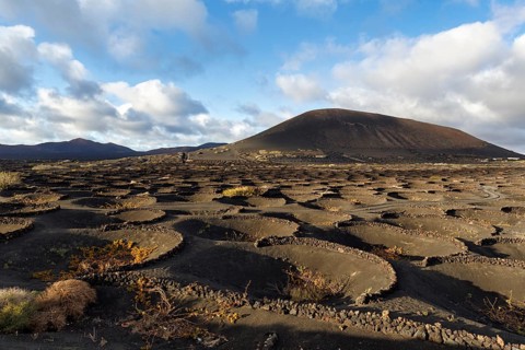 Wine-growing on volcanic soil, typical landscape with volcanic mountains on the horizon, La Geria