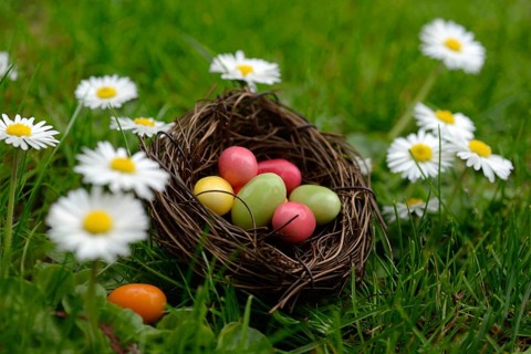 Sugar eggs in an Easter nest in the meadow with daisies