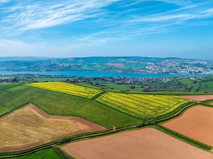 Rapeseed fields over the River Teign from a drone, Teignmouth, Shaldon, Devon, England, United