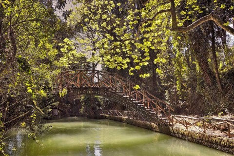 Wooden bridge over a quiet pond in the middle of a green forest, Rodini Park, City Park, Rhodes