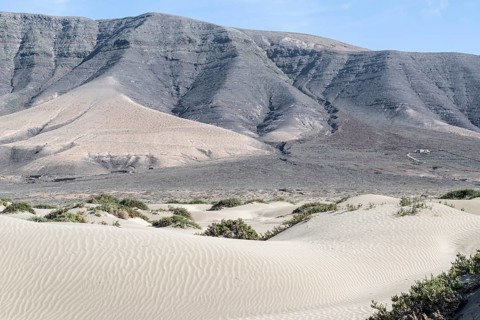 Dune landscape, Playa de Famara, Lanzarote, Canary Islands, Spain, Europe