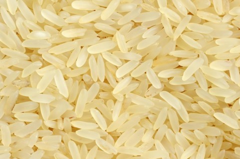 Rice (Oryza sativa), rice grains
