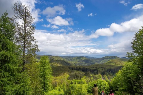 View of the southern Palatinate Forest from the summit of the Eiderberg