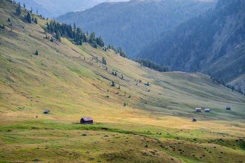 Alpine pasture landscape, Alpine meadows and huts, Carnic main ridge, Carnic High Trail, Carnic