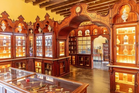 Antique apothecary museum with illuminated wooden display cases full of jars, Jerez