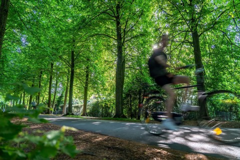 Promenade cycle path, tree-lined, car-free, approximately 4.5 km long ring road around the city