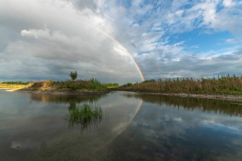 Large double rainbow after a spring storm. Bas-Rhin, Alsace, Grand Est, France, Europe