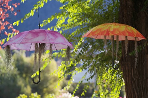 Colourful umbrellas hanging in the air, shade, summer, decoration, winter promenade, promenade,