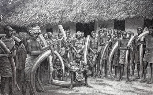 Ivory caravan arriving in Bagamoyo in Tanzania, 1895, elephant tusks, poachers, reproduction of an