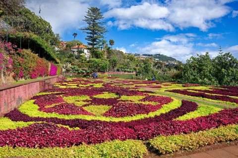 Flowerbeds planted as a pattern, Botanical Garden, Jardim Botanico, Funchal, Madeira, Portugal,
