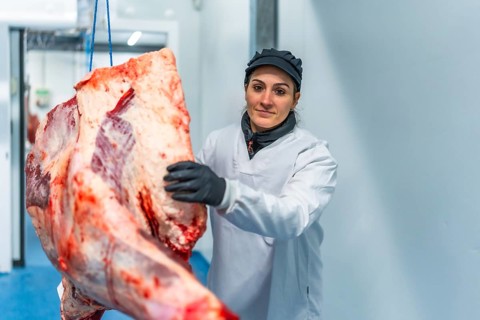 Female confident butcher working at the slaughter house sorting meat