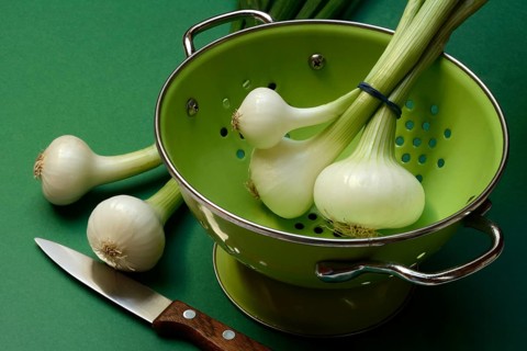Onion, spring onions in sieve pot