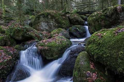 Gertelbach, Gertelbach Waterfalls, Gertelbach Falls, Gertelbach Gorge, Bühl, Bühlertal, Northern