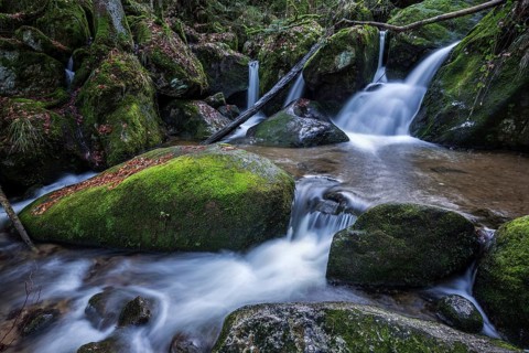 Gertelbach, Gertelbach Waterfalls, Gertelbach Falls, Gertelbach Gorge, Bühl, Bühlertal, Northern