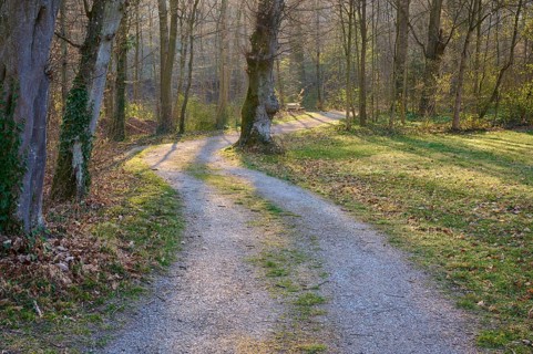 Public park with path and bench in spring, Amorbach, Odenwald, Bavaria, Germany, Europe