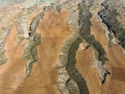 Canyons and gorges cut into the surrounding cultivated land, aerial view, drone shot, Gorafe