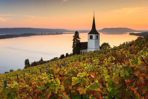 Ligerz on Lake Biel, Bern, Switzerland, Europe