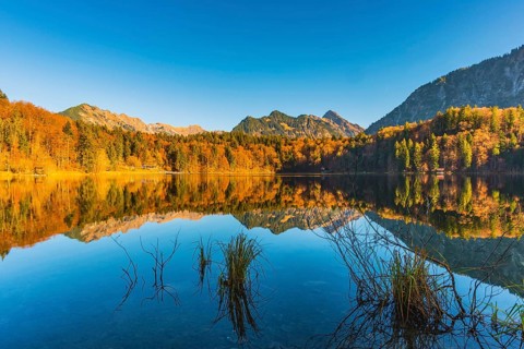 Freibergsee, near Oberstdorf, with the Allgäu Alps behind, Allgäu, Bavaria, Germany, Europe