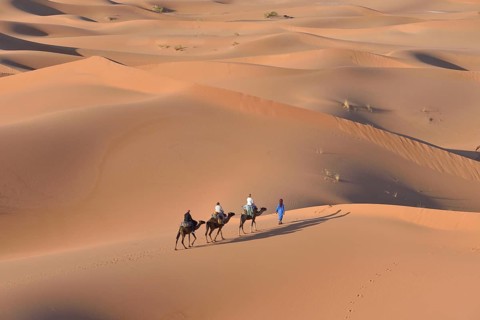 Tourists riding on camels through the dunes, Sahara, Merzouga, Meknès-Tafilalet region, Morocco,