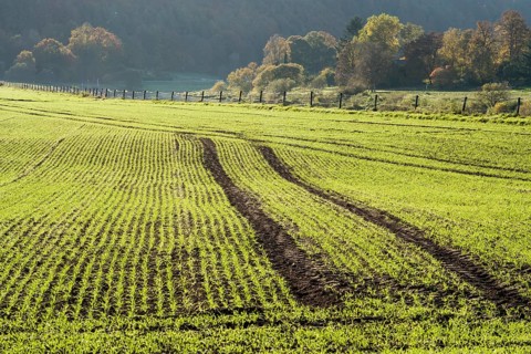 Rural landscape near Gewissenruh, Wesertal, Weser Uplands, Weserbergland, Hesse, Germany, Europe