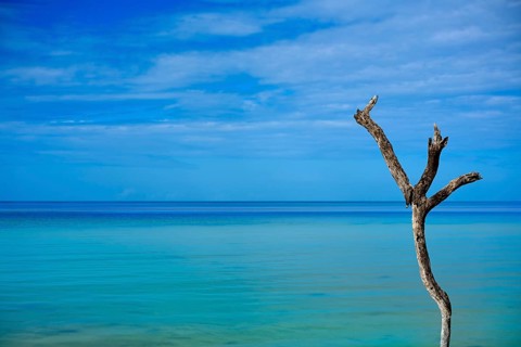 Holbox tropical Island in Quintana Roo of Mexico