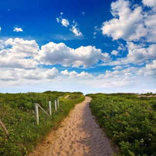 Cape Cod Herring Cove Beach in Massachusetts USA