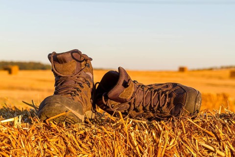 Hiking boots in the evening sun on a field