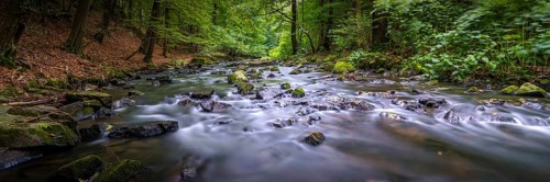 River in the valley - the Löbau water in the Georgewitz scale 3