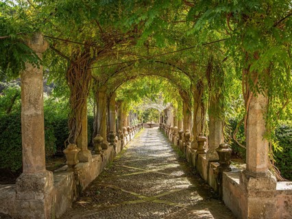 Pergola with lush green vegetation and columns lining a shady path, Jardines de Alfabia, Bunyola,