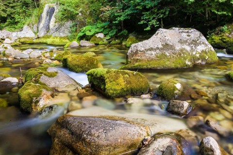 Creek and little waterfall in the Ligurian Alps, during summer season