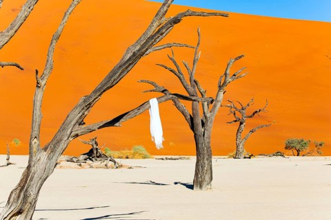White shawl on petrified tree branches. Deadvlei in the Park Namib-Naukluft surrounded by the dunes