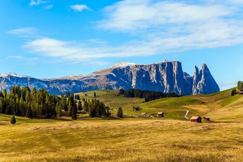Coniferous forest in the Val Gardena valley, Italy. Beautiful day for hiking and taking photos.