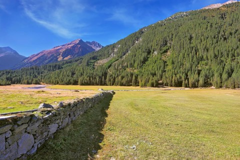 Scenic farm fields blocked by the stone fence. Shadow of the low fence beautifully lie on the grass