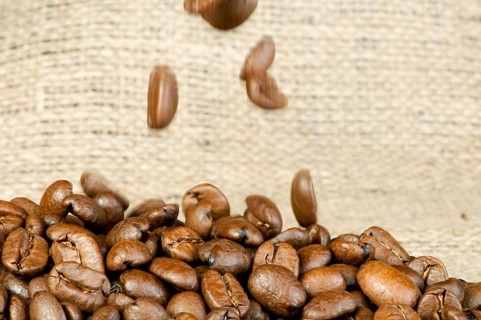 Coffee beans closeup on burlap