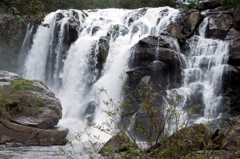 A Thoovanam waterfall over the rocks in tremendous speed Munnar Kerala India Asia