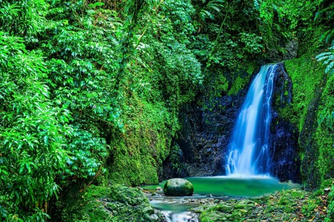 A view of Seven Sisters Waterfalls in the jungle on Grenada