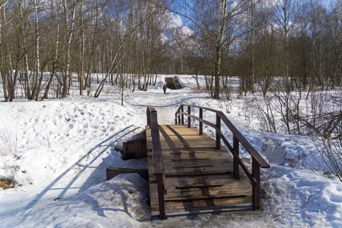 A bridge over a stream at the bottom of a small ravine. Teplostanovsky forest park, Moscow, Russia.