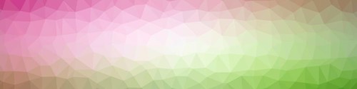 Illustration of a modern low poly background