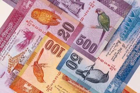 The symmetrical composition of Sri Lankan banknotes. Rupee, the national currency of Sri Lanka