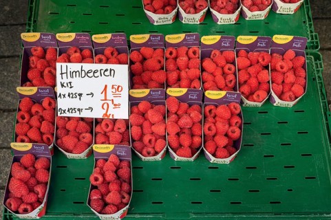 Raspberries (Rubus idaeus), in cardboard trays, Kempten, Allgäu, Bavaria, Germany, Europe