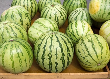 Big watermelon market display in a row delicious summer fruits