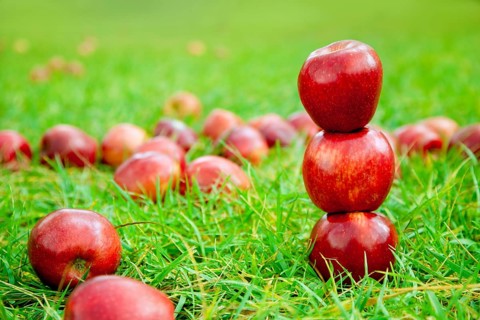 Three red apples stacked in grass field with many in background