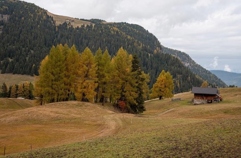 Wooden travel cabin tourist houses outdoor in the hill. Alpe di siusi Seiser alm Italy