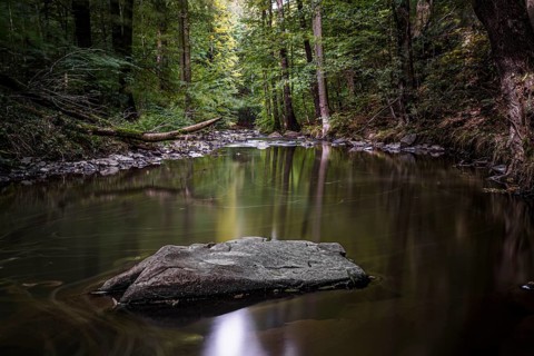 Autumn magic in the Georgewitzer Skala/ Löbauer Wasser 1
