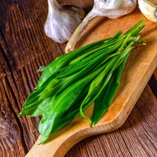 Fresh and tasty wild garlic