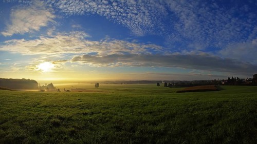 Morning atmosphere in the Altshausener Ried